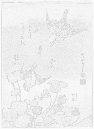 葛飾北斎 『花鳥図』（10枚）｜社会福祉法人あけあい会（公式